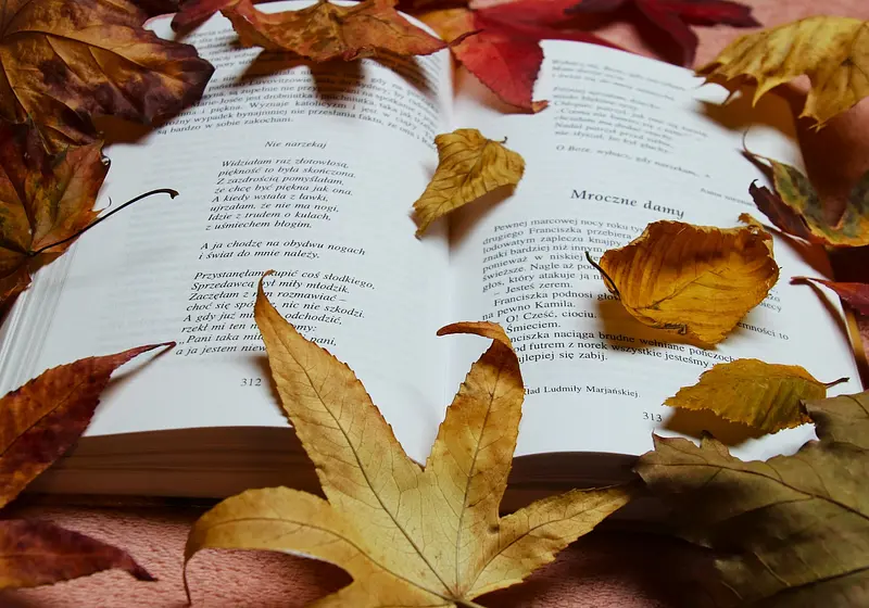 The Best Books to Cozy Up with Next Fall