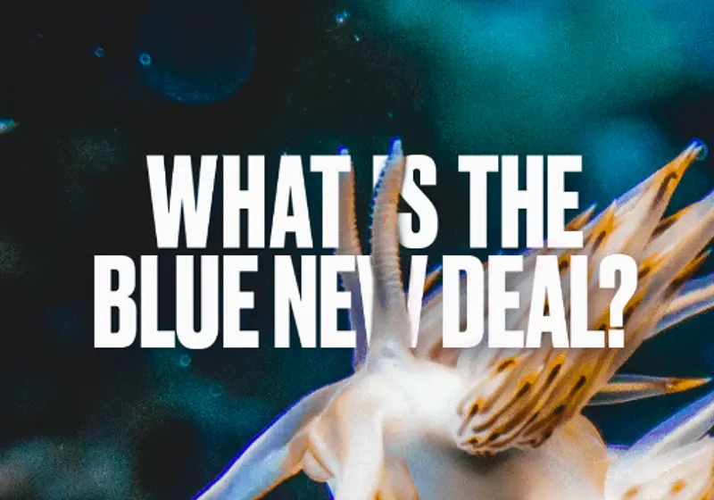 What is the Blue New Deal?