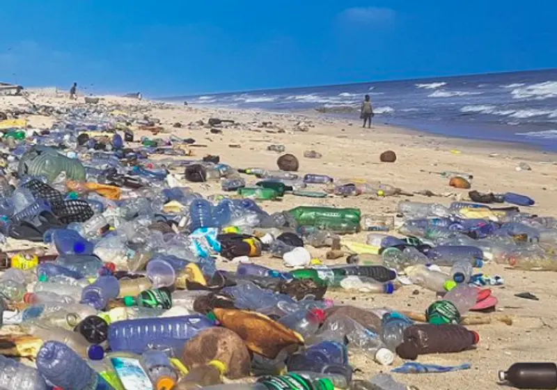10 Ways Teens Can Fight Plastic Pollution